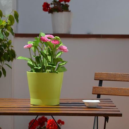 Apartamentos San Isidro 44 グラナダ エクステリア 写真