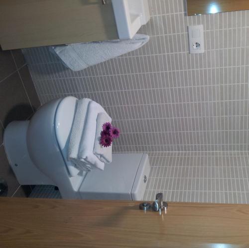 Apartamentos San Isidro 44 グラナダ エクステリア 写真